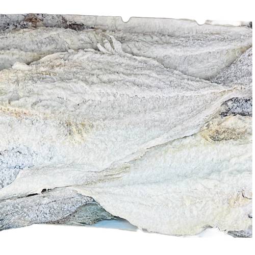 Saithe 1kg - Main Image