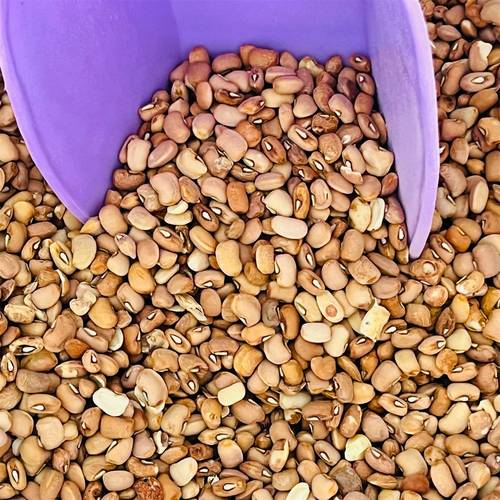 Sweet Honey beans or Oloyin 500g Bulk - Main Image