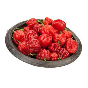 Pepper Hot Pili-Pili Red Uganda
