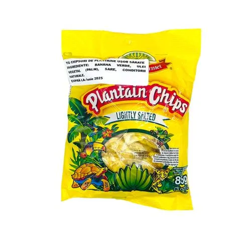 TG Salted Plantain Chips 85g